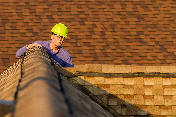 Best Metal Roofing Contractor  in Smithton, IL